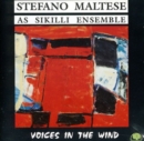 Voices in the Wind - CD