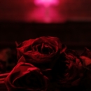 Roses - Vinyl