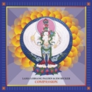 Compassion - Vinyl