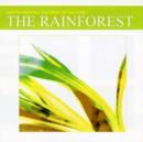 The Rainforest - CD
