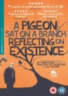 A   Pigeon Sat On a Branch Reflecting On Existence - DVD
