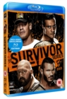 WWE: Survivor Series - 2013 - Blu-ray