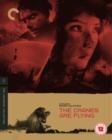The Cranes Are Flying - The Criterion Collection - Blu-ray