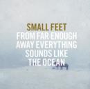 From Far Enough Away Everything Sounds Like the Ocean - Vinyl