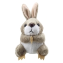 Rabbit (Grey) Soft Toy - Book