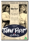 Tawny Pipit - DVD