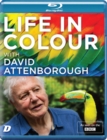 Life in Colour With David Attenborough - Blu-ray