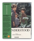 Misunderstood - Blu-ray