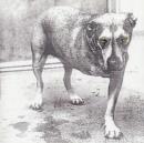 Alice In Chains - CD