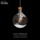 Winter Wonderland/Small Bones - Vinyl