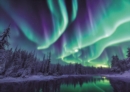 Aurora Borealis 40 Piece Puzzle - Book