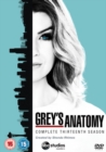 Grey's Anatomy: Complete Thirteenth Season - DVD