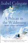 A Pelican in the Wilderness : Hermits, Solitaries and Recluses - Book