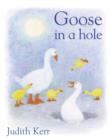 Goose In A Hole - Book
