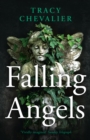 Falling Angels - Book