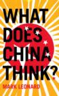 What Does China Think? - Book