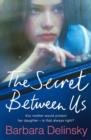 The Secret Between Us - Book