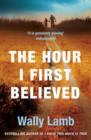 The Hour I First Believed - Book