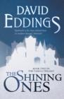 The Shining Ones - eBook
