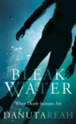 Bleak Water - eBook