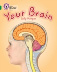 Your Brain : Band 15/Emerald - Book