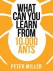What You Can Learn From 10,000 Ants - eBook