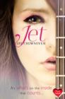 The Jet - eBook