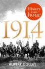 1914: History in an Hour - eBook