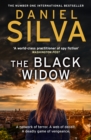 The Black Widow - eBook