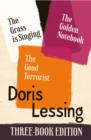Doris Lessing Three-Book Edition : The Golden Notebook, the Grass is Singing, the Good Terrorist - eBook