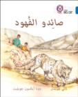 The Leopard Poachers : Level 16 - Book