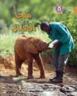 Elephant Sanctuary : Level 12 - Book