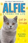 Alfie Cat In Trouble - eBook
