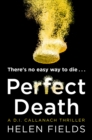 A Perfect Death - eBook