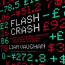 Flash Crash : A Trading Savant, a Global Manhunt and the Most Mysterious Market Crash in History - eAudiobook