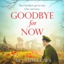 Goodbye for Now - eAudiobook