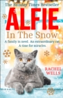 Alfie in the Snow - Book