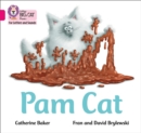 Pam Cat : Band 01b/Pink B - Book