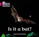 Is it a Bat? : Band 01b/Pink B - Book