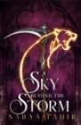 A Sky Beyond the Storm - eBook