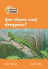 Level 4 - Are there real dragons? - Book