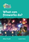 Level 3 - What can fireworks do? - Book