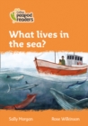 Level 4 - What lives in the sea? - Book