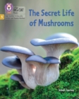 The Secret Life of Mushrooms : Phase 5 Set 4 Stretch and Challenge - Book