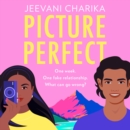 Picture Perfect - eAudiobook