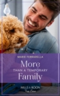 More Than A Temporary Family - eBook