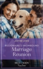 Billionaire's Snowbound Marriage Reunion - eBook