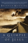 Glimpse Of Jesus : The Stranger To Self Hatred - Book