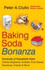 Baking Soda Bonanza - Book