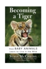 Becoming A Tiger : How Baby Animals Learn To Live In The Wild - Book